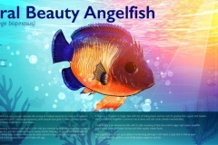 Coral Beauty Angelfish